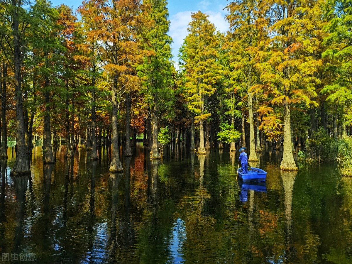 十一国庆上海不出沪去哪玩,上海国庆去哪玩