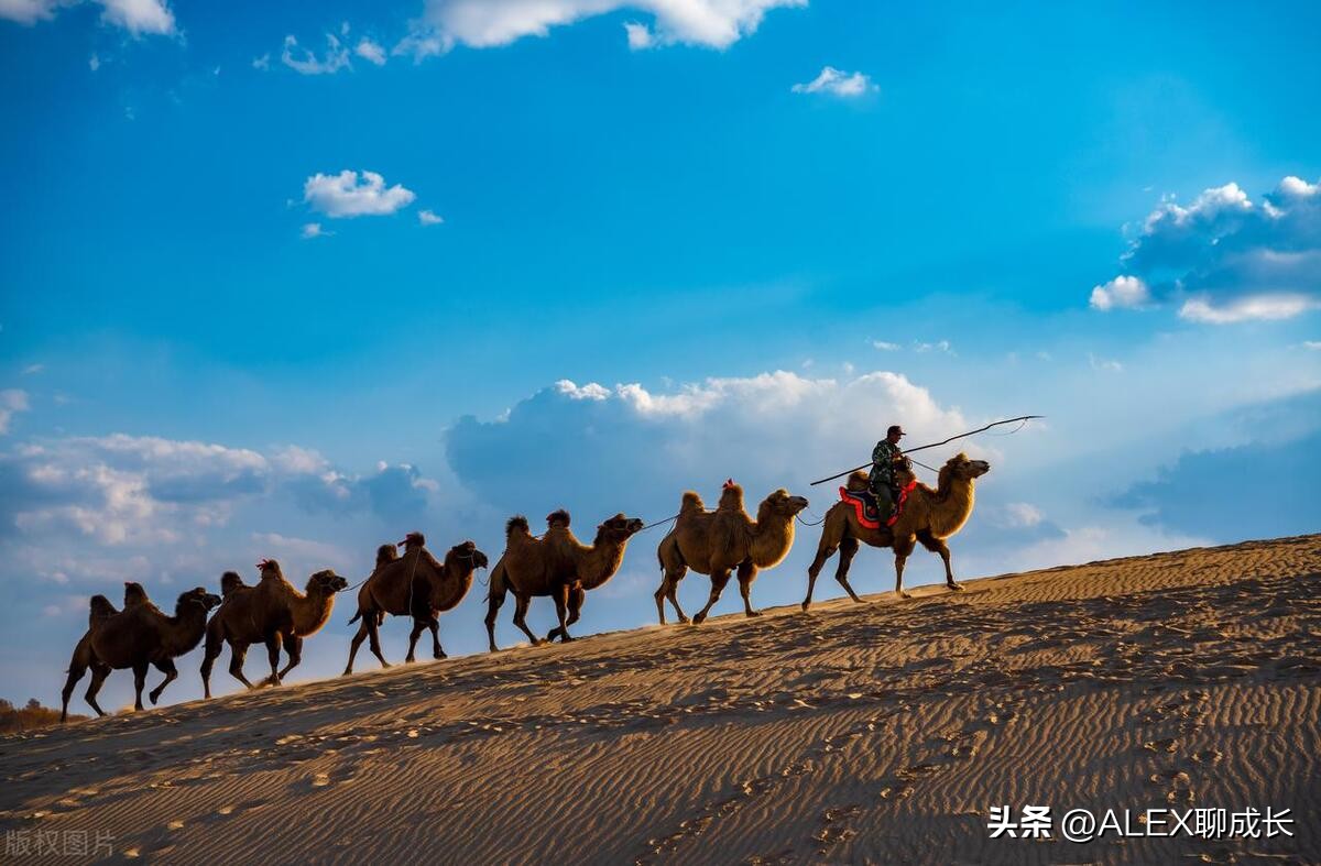 存钱是一种远见,一个家庭最大的远见