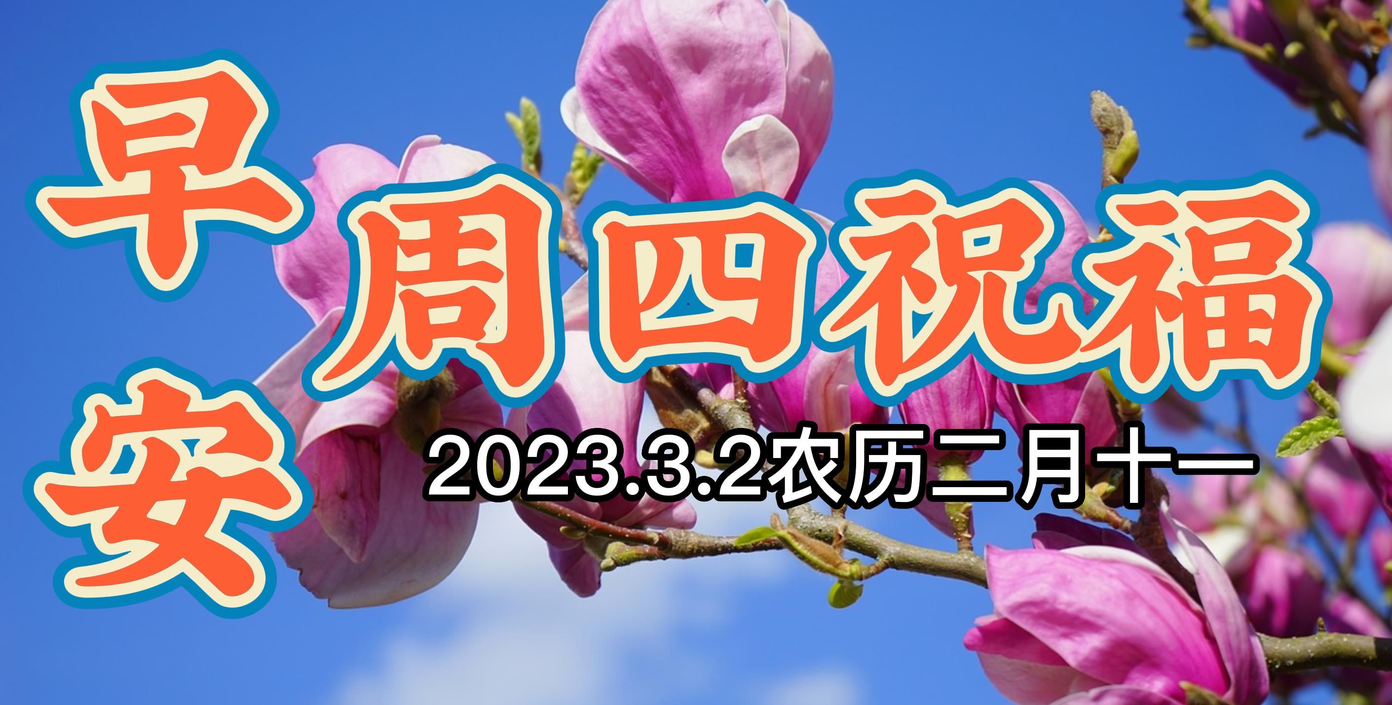 三月十日早晨文字问候语图片汇总,早安带字周三早上好祝福语图片