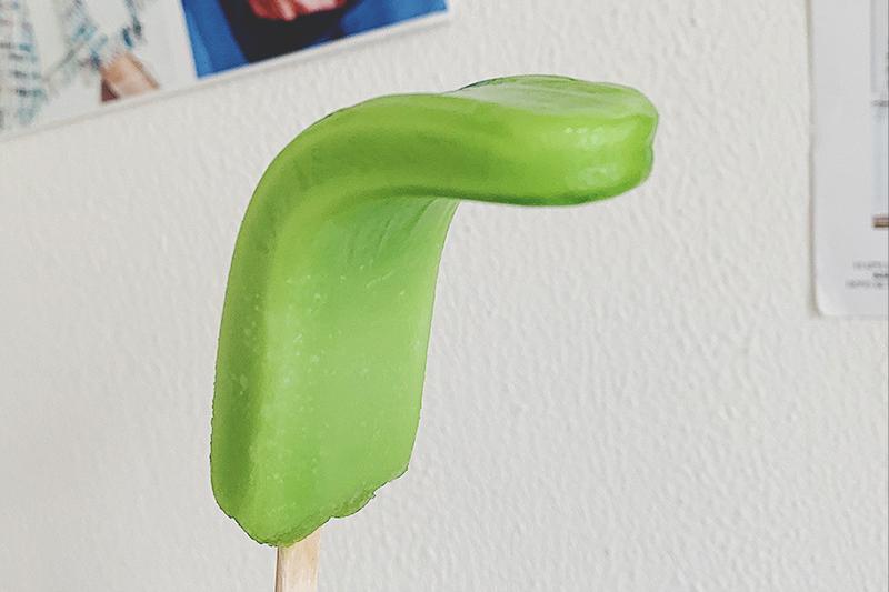 夏季好吃的雪糕有哪些,不认识的雪糕千万不要拿