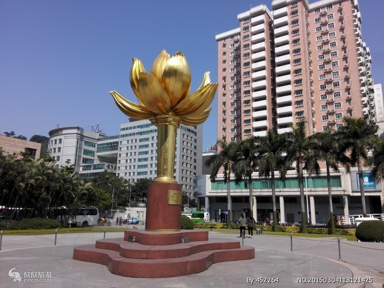 去香港是跟团好还是不跟团好,去香港一周旅游要多少钱