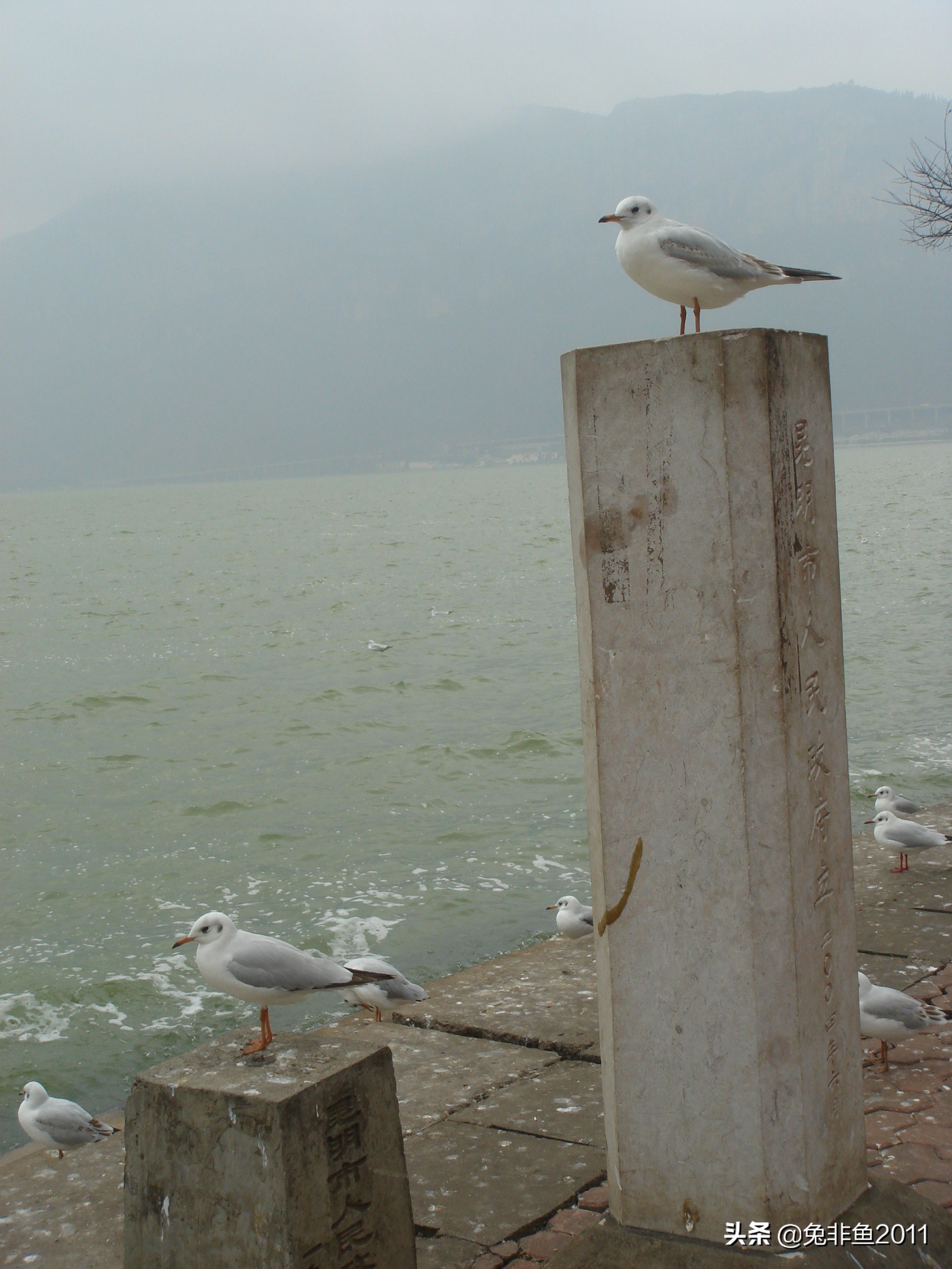 云南腾冲滇峰之旅,云南瑞丽中缅边境一日游