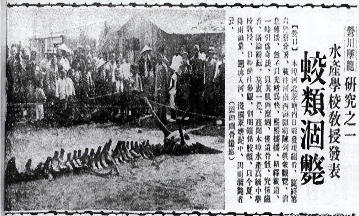 2007年高邮湖出现龙吸水奇观,高邮湖出现罕见龙吸水