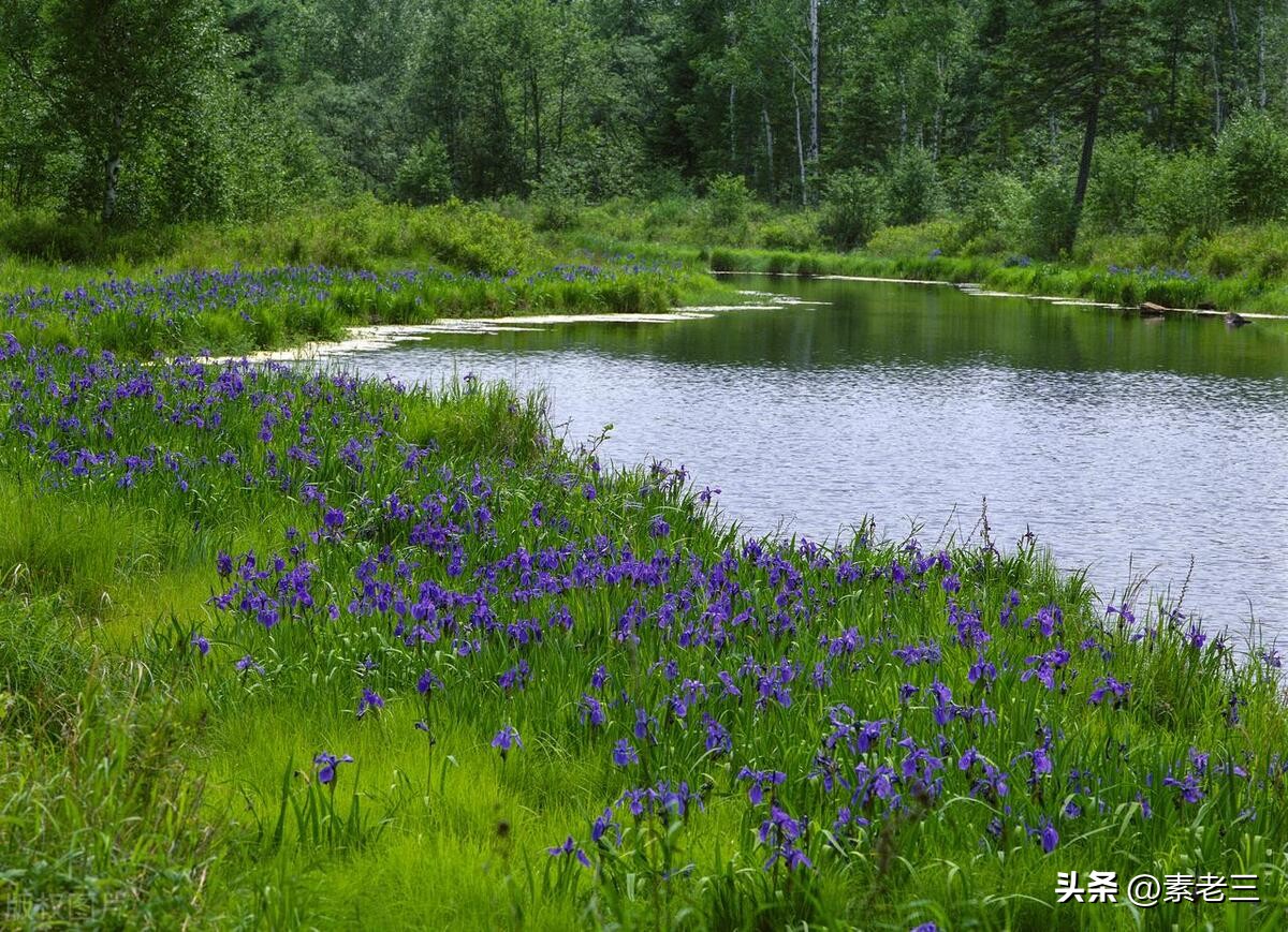 女作家去做保姆婚姻真相,女作家去做保姆这些年