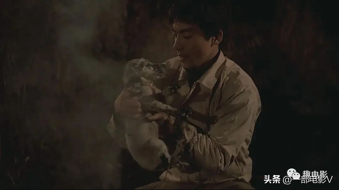 韩国最令人发指的真实事件,韩国在越战的暴行