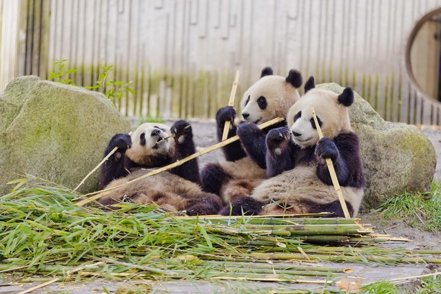 暑假带娃不知道去哪里玩,暑假不知带孩子去哪里