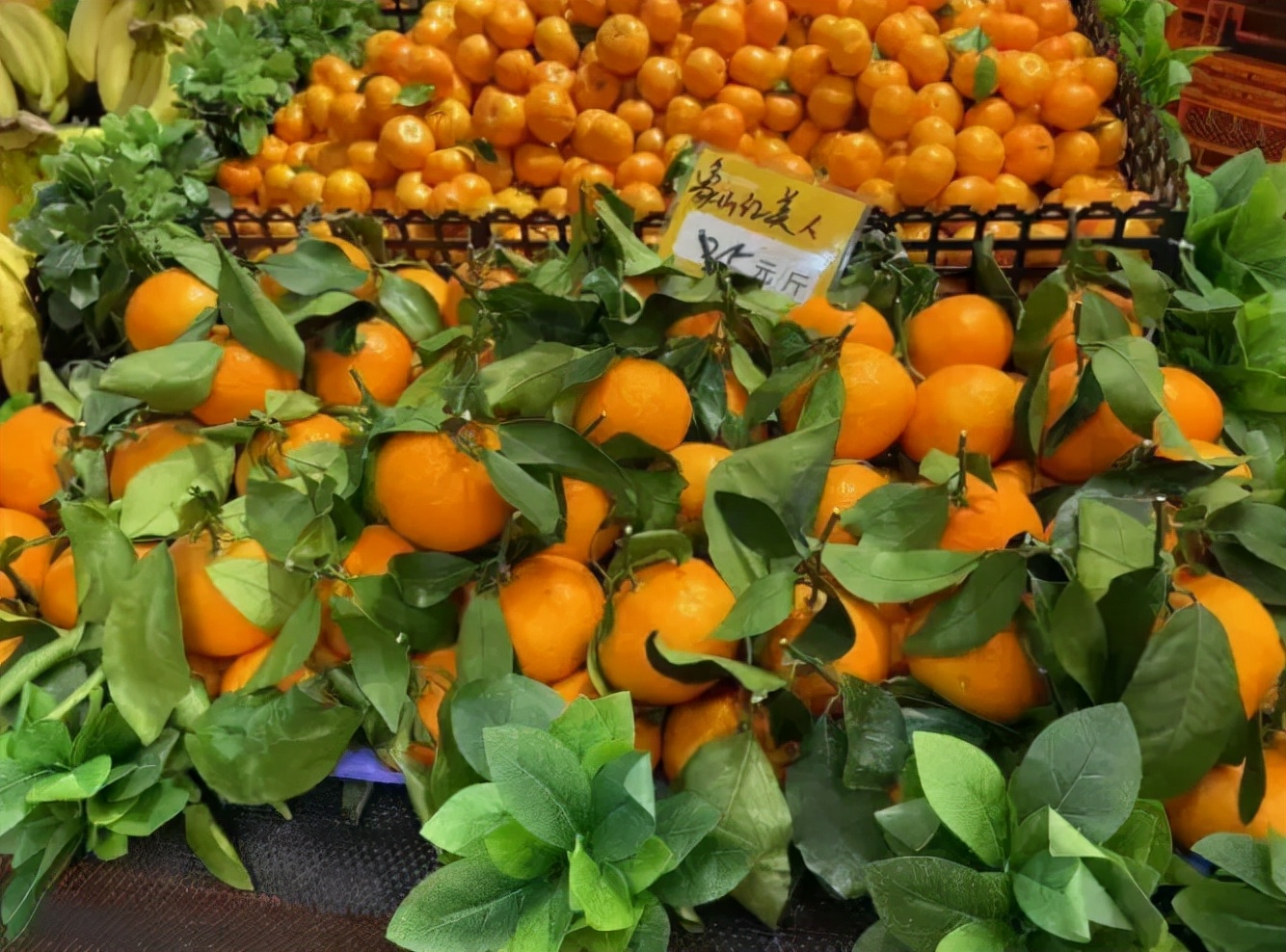 象山红美人桔子多少钱一斤,象山红美人在象山批发价多少