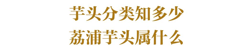 芋头高产窍门,芋头高产高效品种