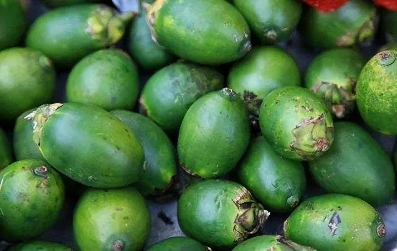 槟榔加烟，法力无边，它到底有何神奇？为何被人们称之为神物？