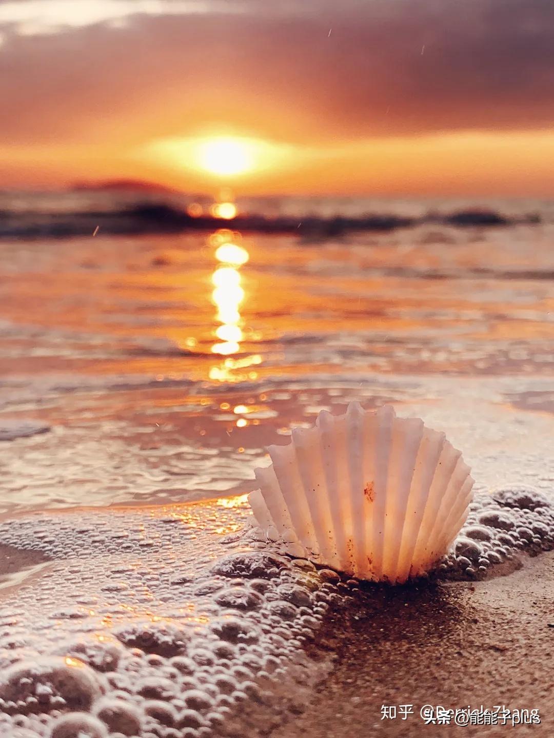 iphone12相机美颜怎么开,iphonex相机最佳设置