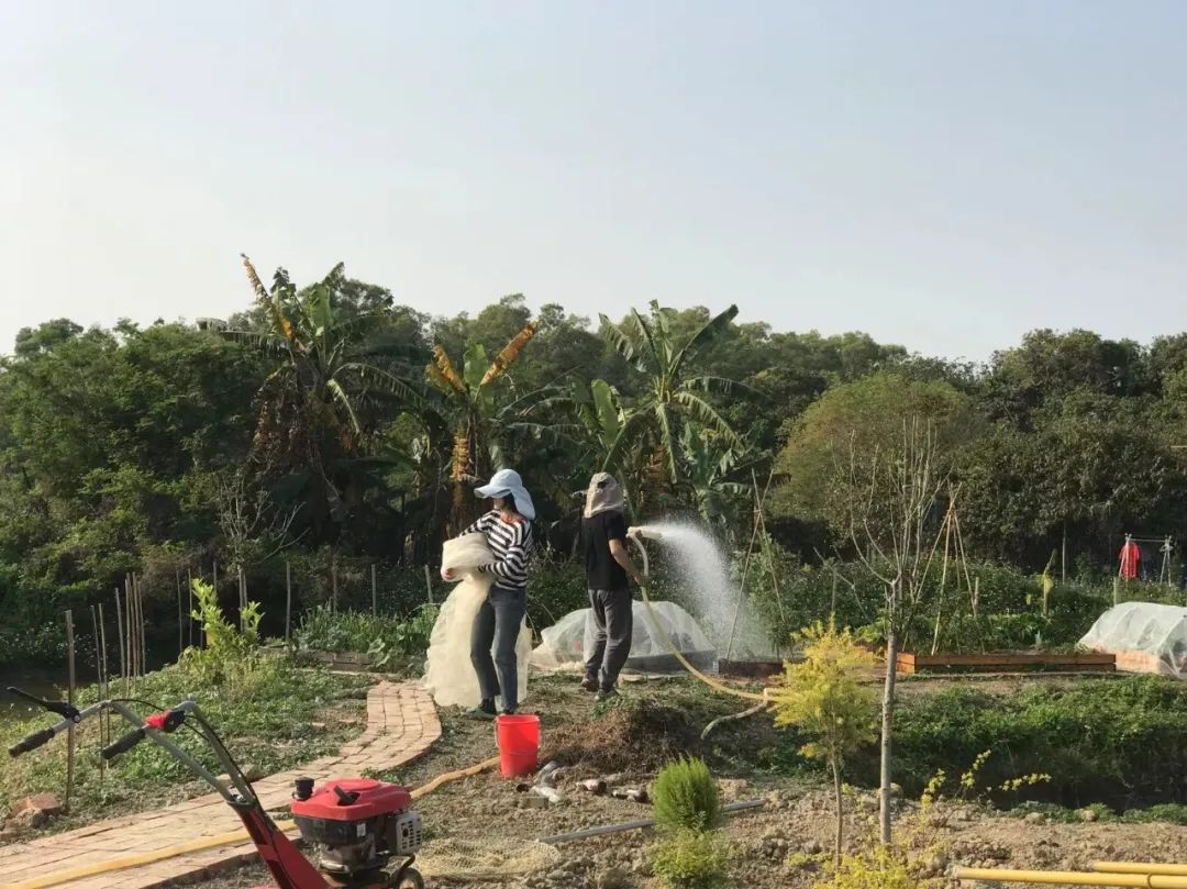 搬离城市，坐火车上班的年轻人：获得了真正的快乐！