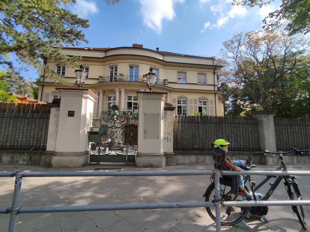 生育率下降的全球趋势,全球生育率下降趋势