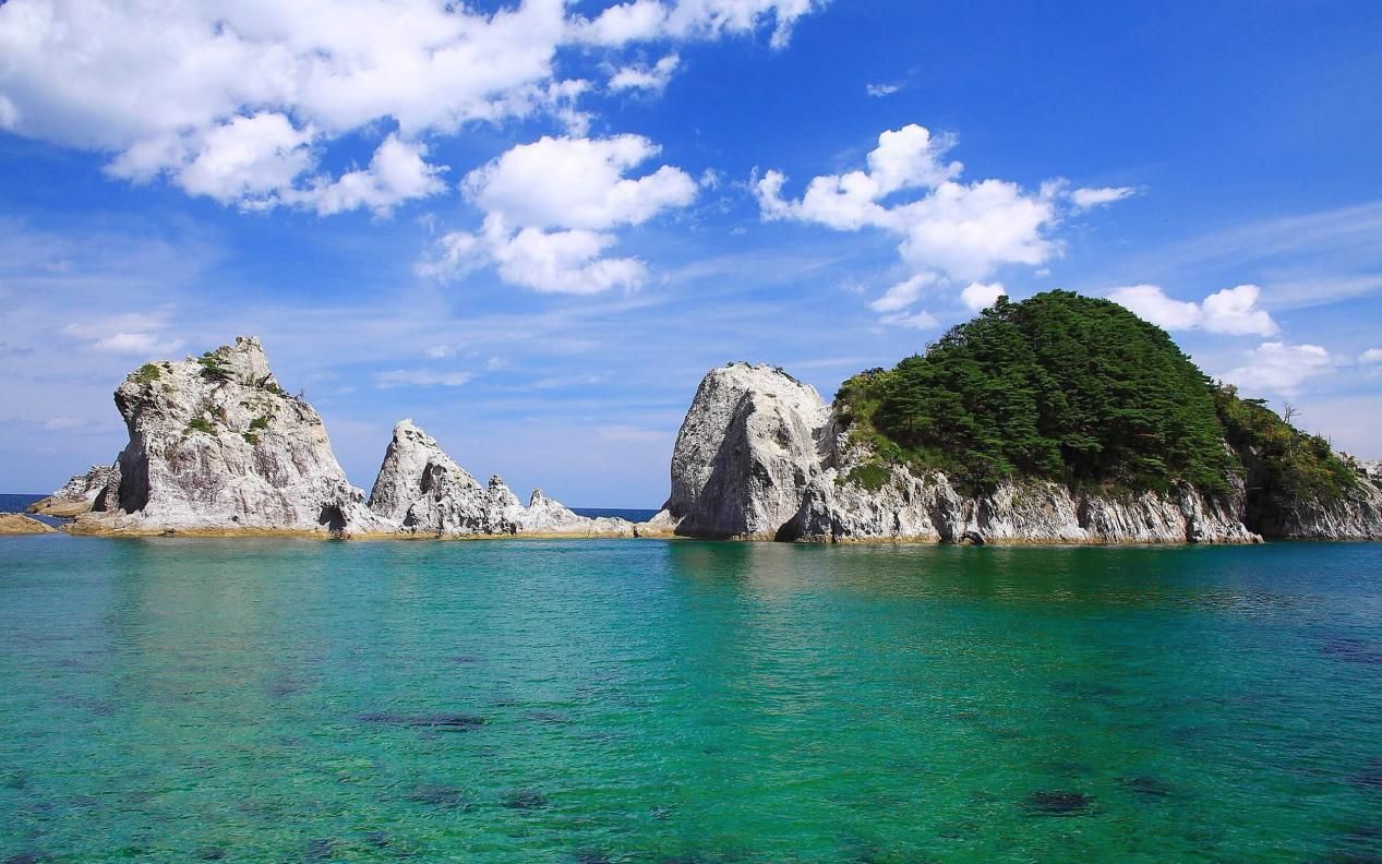 生活垃圾分类处理问卷调查,校园生活垃圾分类问卷调查