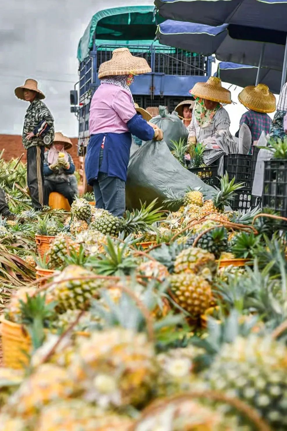 最能吃甜的中国地区,中国最爱吃咸的城市
