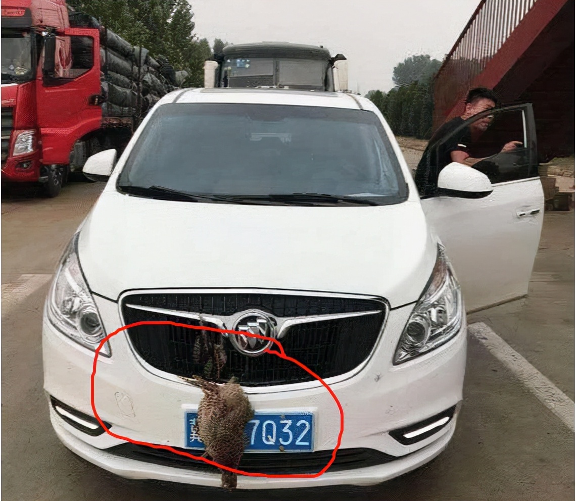 遮挡车牌和不悬挂号牌怎么处罚,车牌被别人恶意遮挡能申诉成功吗