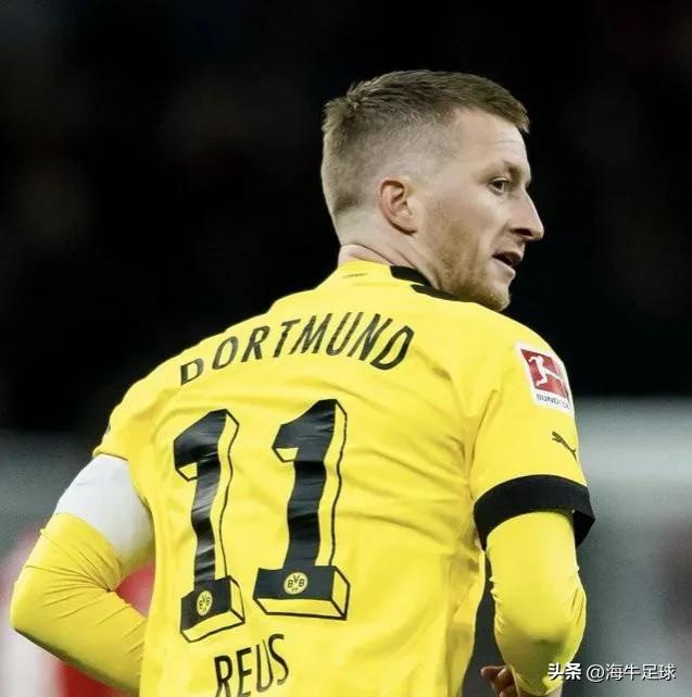 多特痛失冠军视频,拜仁绝杀多特蒙德罗伊斯