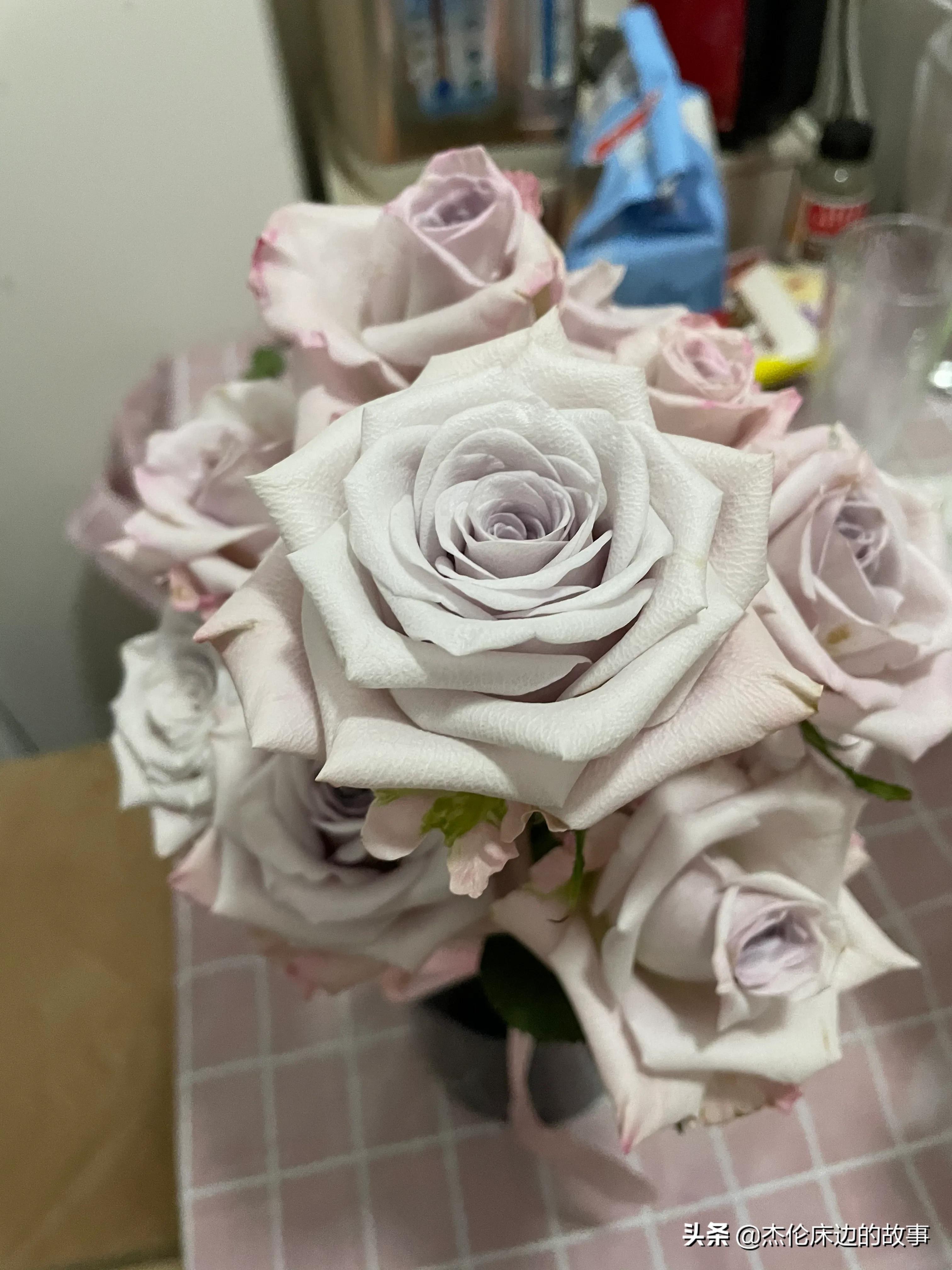 网上鲜切花怎么养护,最耐养的鲜切花