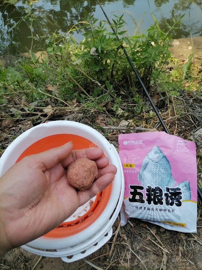 掌握这四大钓鱼技巧你也是高手,掌握这几点小窍门