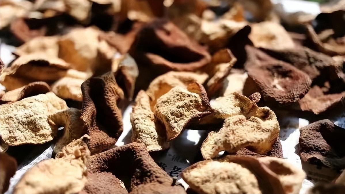 陈皮就是晒干的橘子皮？详解剧中高启强爱喝的陈皮茶