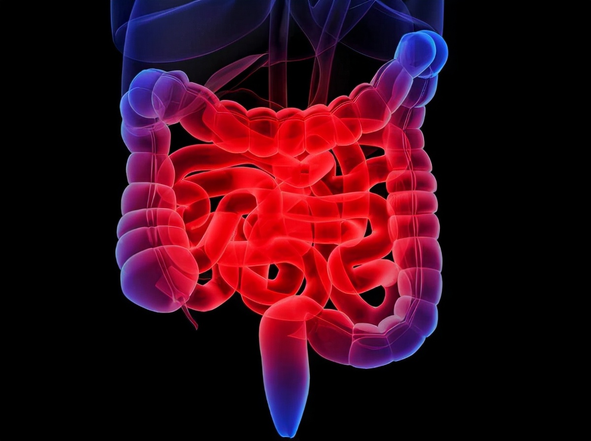 频繁放屁肚子咕咕叫,肚子咕咕叫腹胀老放屁大便不成形