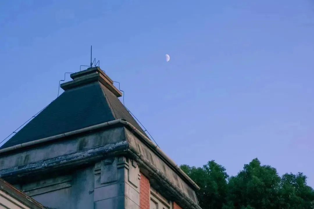 江西各个大学自主招聘,江西师范大学2024年招聘最新信息