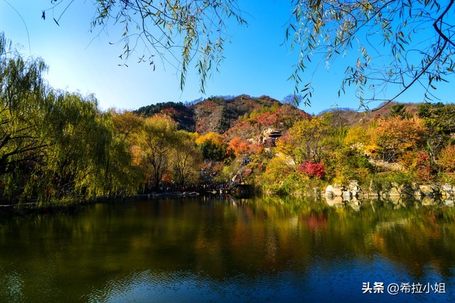 济南市旅游攻略必去景点有哪些,济南旅游攻略景点有哪些