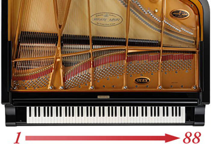 5千左右天津买什么电钢琴好？天津电钢琴价格