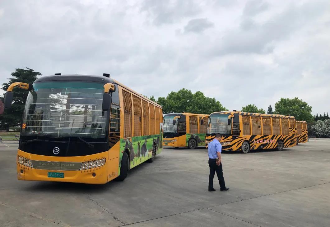 上海动物园和野生动物园哪个好,上海动物园地址和路线