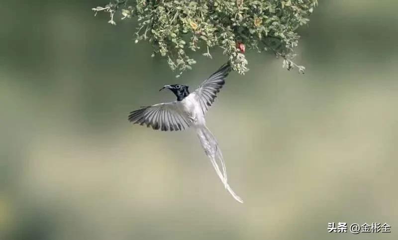 女朋友让交工资卡怎么回复,女朋友要求你上交工资是什么心理