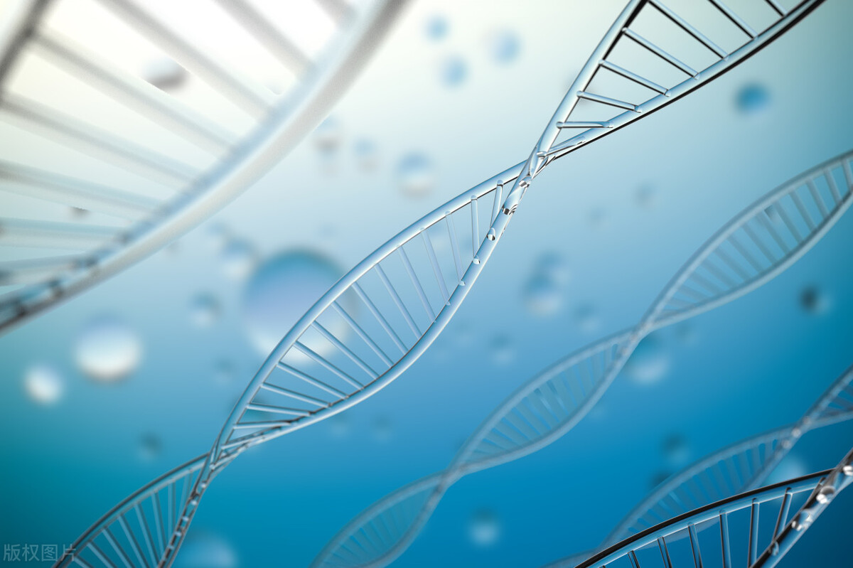 汉字演变史上的两次变革及意义,汉字的发展和演变带来的启示