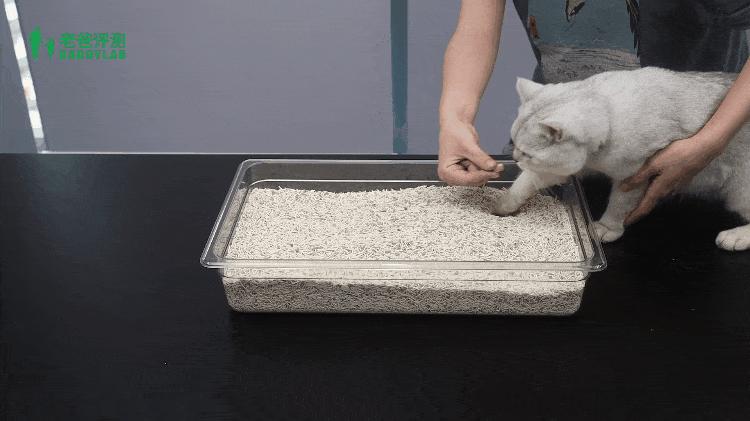 猫砂甲醛排行,纯福猫砂甲醛超标