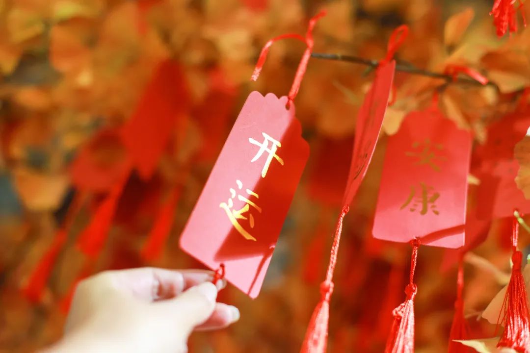 苏州周庄古镇哪些景点值得去旅游,苏州周庄古镇旅游攻略路线图高清