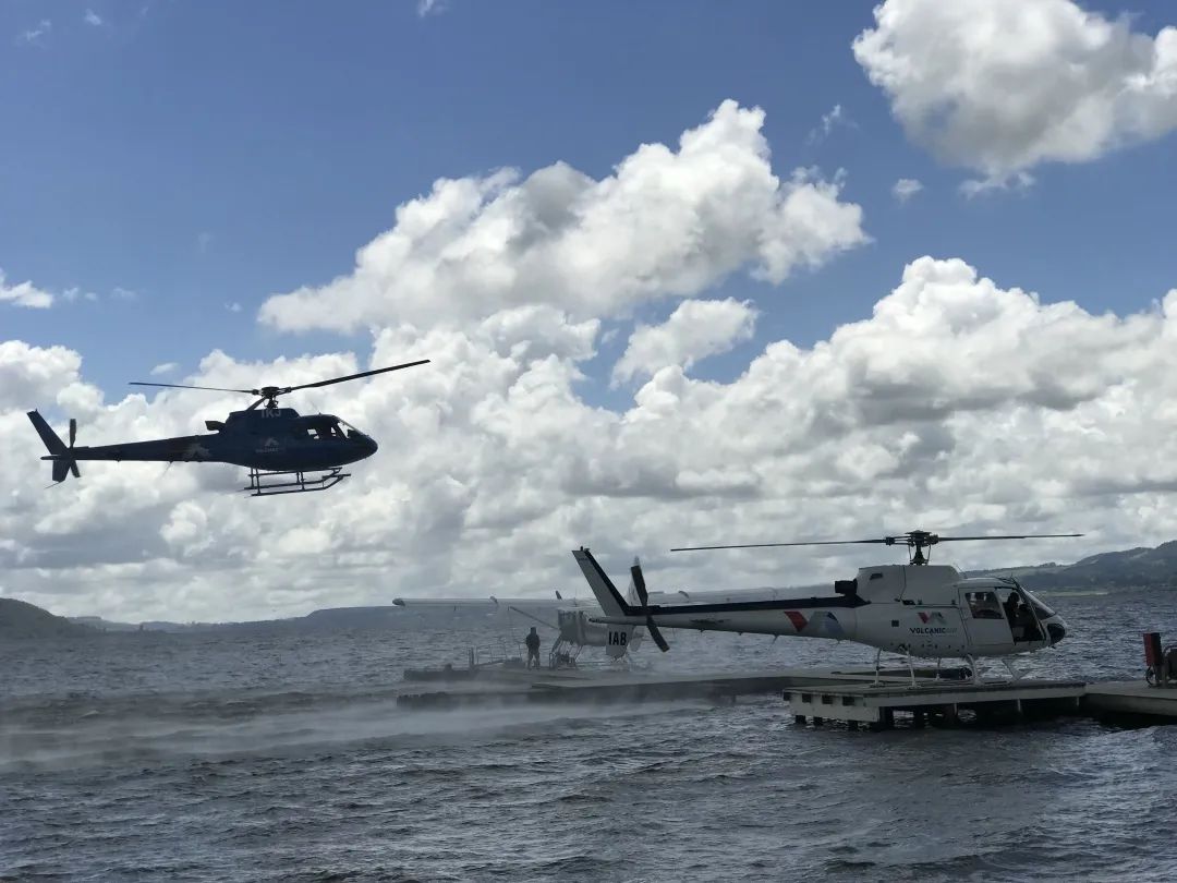 写给不被疫情束缚的心:用文字“云”游新西兰全境