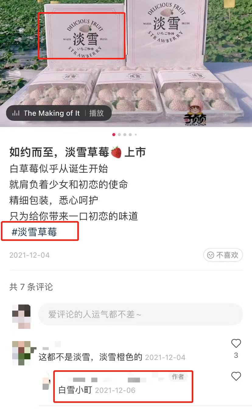 吃最贵的日本草莓,你吃过吗150元一斤的菠萝味草莓