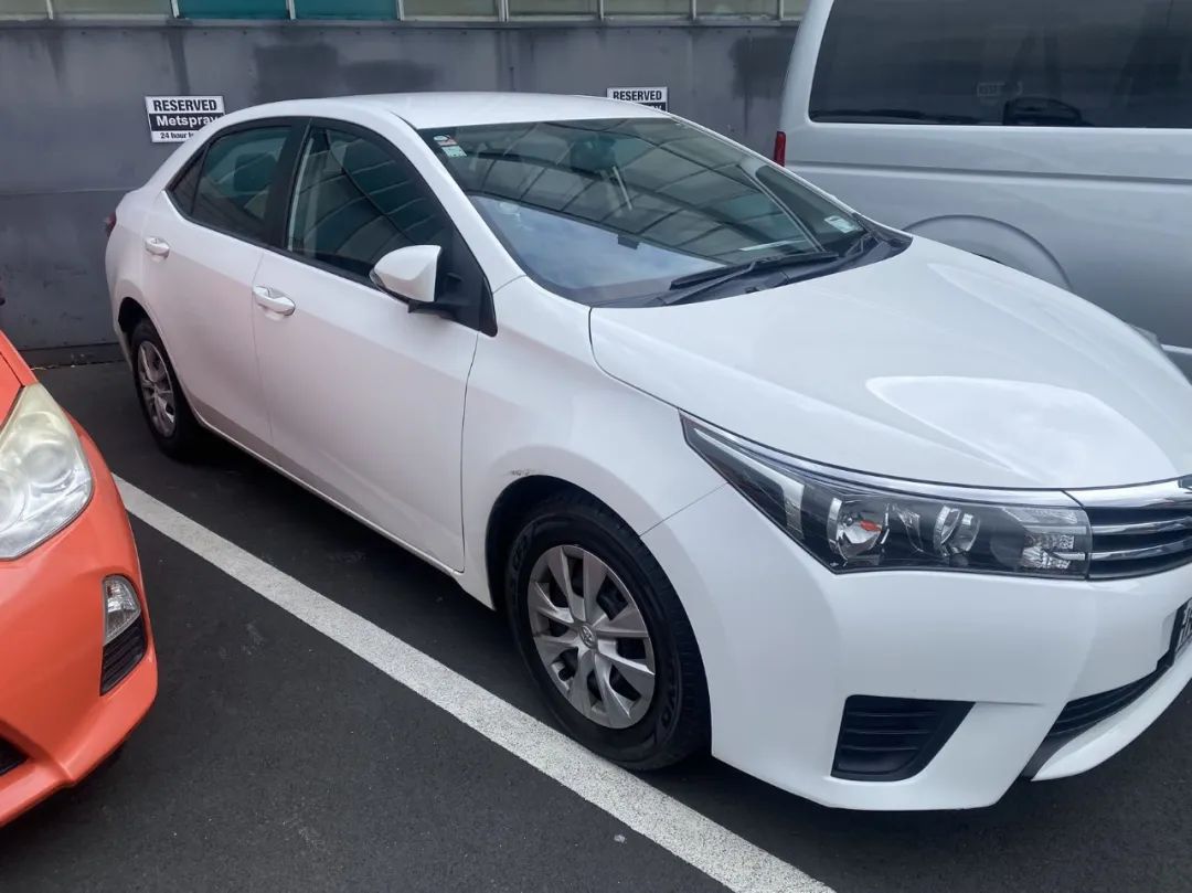 孙哥在新西兰:15岁退学,17岁生子,28岁出国,一小时挣200元