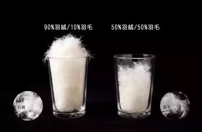 羽绒服买品牌好还是一般的好,内行人眼中的羽绒服