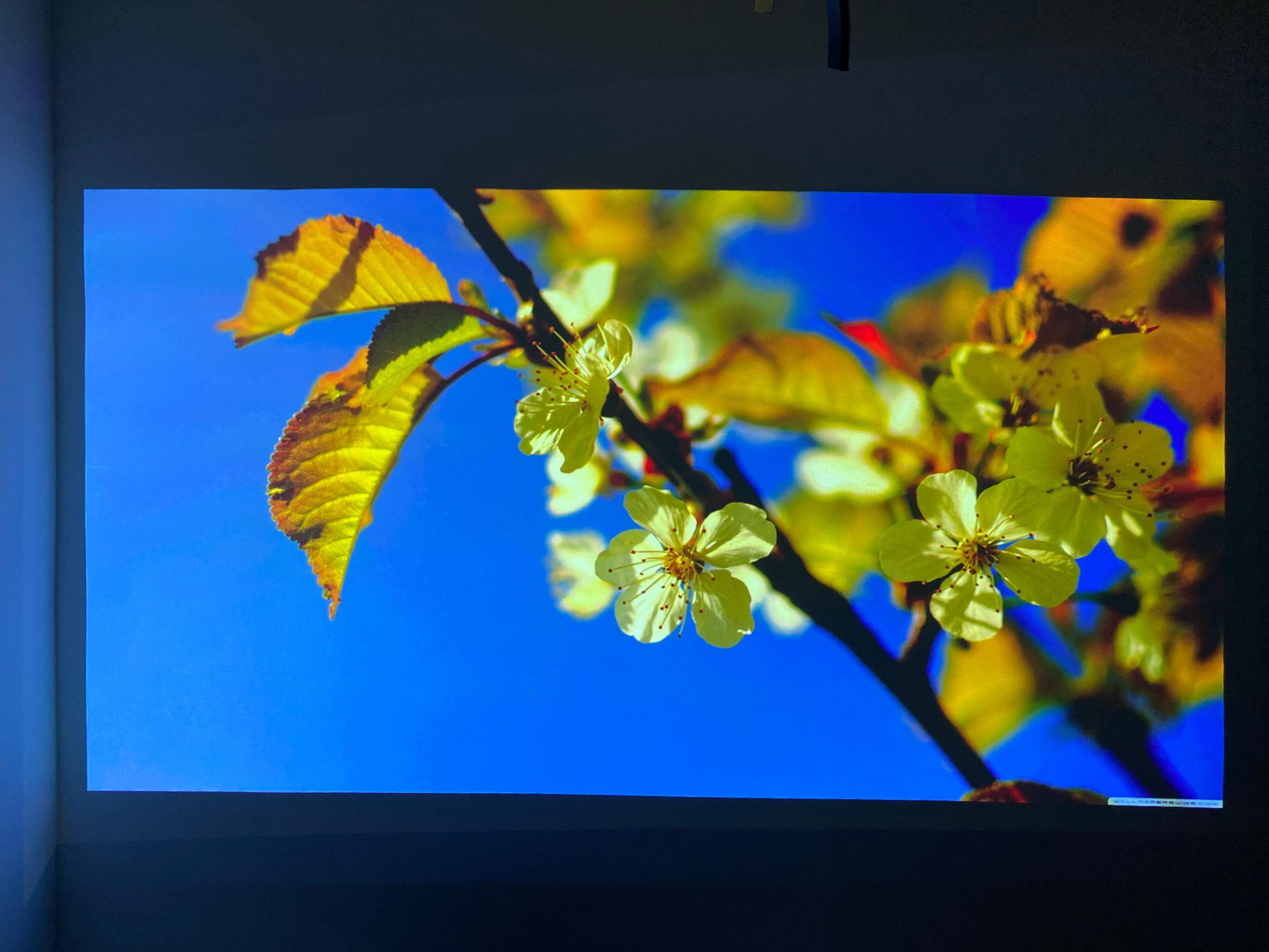 aoct30超短焦投影仪测评,aoct30激光投影怎么样