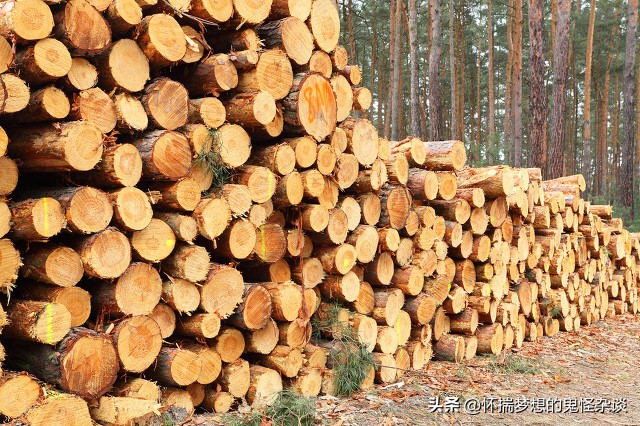 江西命案嫌犯落网3天内枪杀3人,江西命案嫌犯落网曾3天枪杀3人