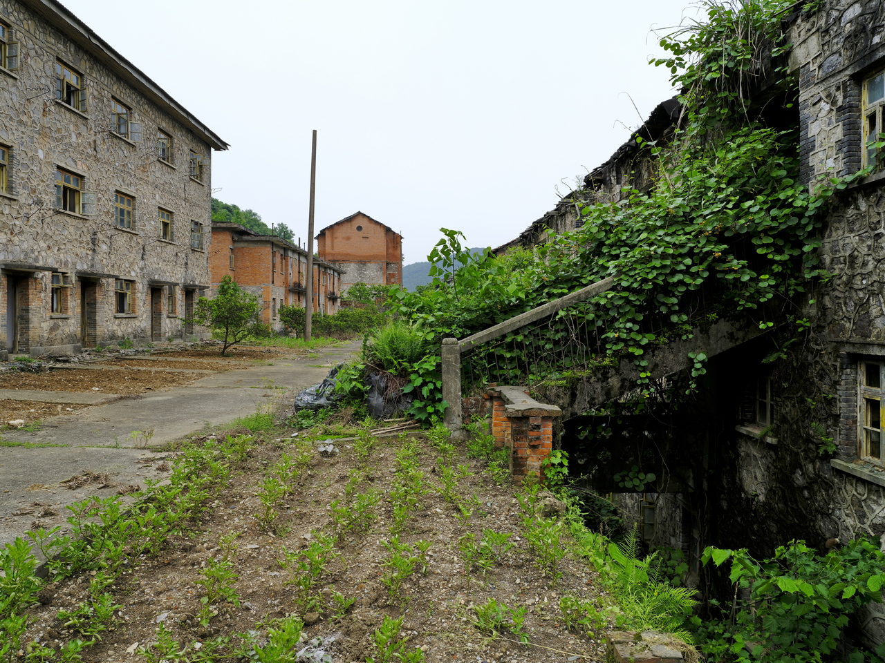 宜都717三线工厂,宜都717厂历史