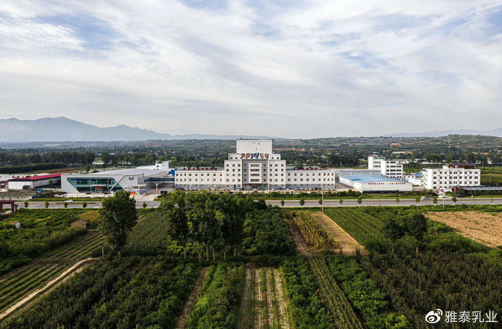 如何挑选正宗羊奶粉品牌,如何选择最好的羊奶粉品牌