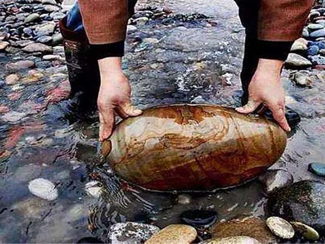 四川农民致富石,石头村村民很有钱