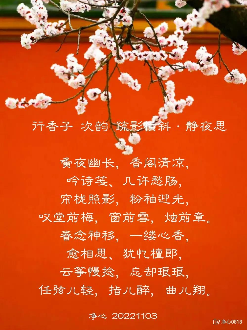 【七言排律·怀古随吟】用韵·疏影横斜·看图写话