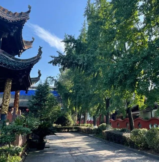 成都重庆九寨沟旅游攻略自由行,70-80岁老人旅游攻略成都