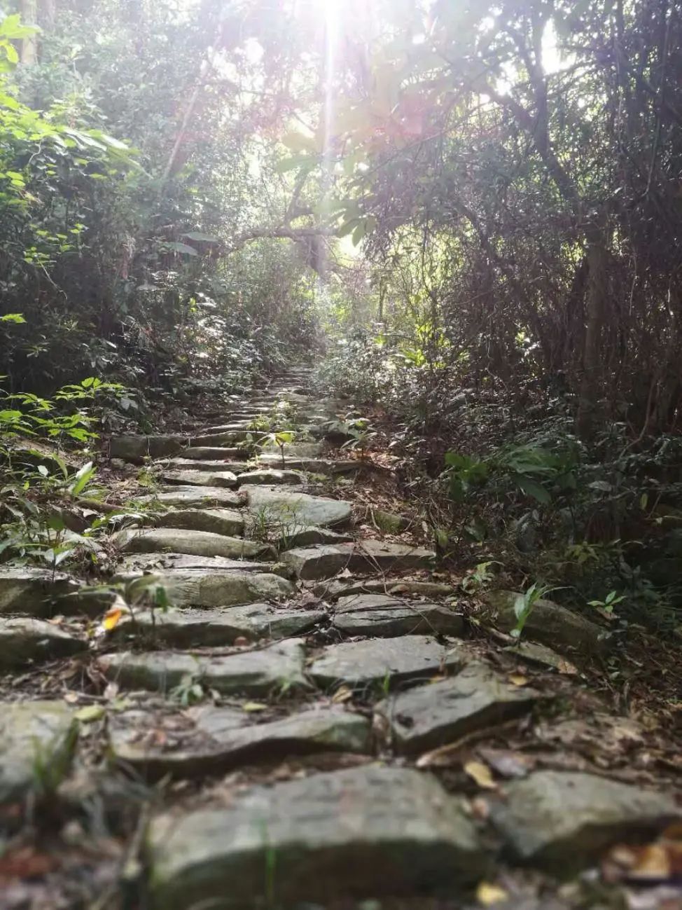 15个打卡景点8条旅游线路！最新五一深汕游攻略，官方推荐！