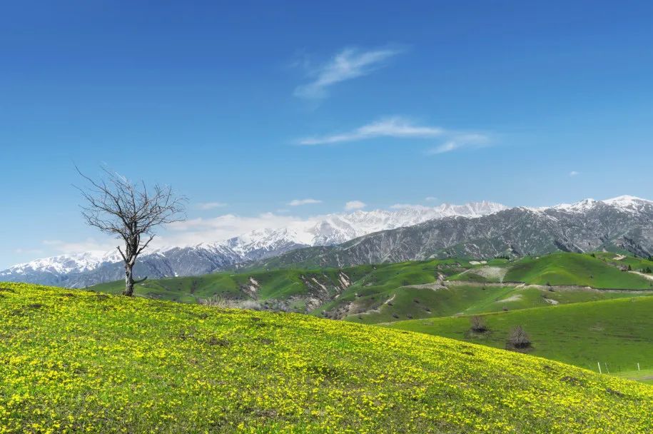 “中国一生必去的50个地方”,各个惊艳!值得收藏!