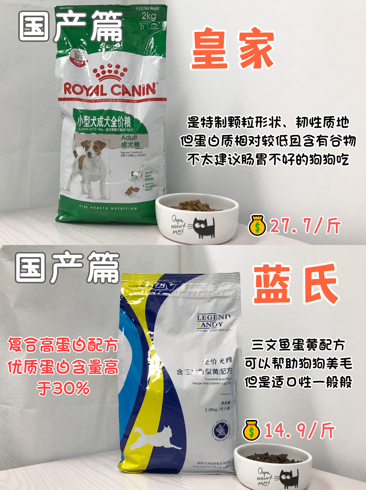 养狗不养傻狗,养狗不花冤枉钱