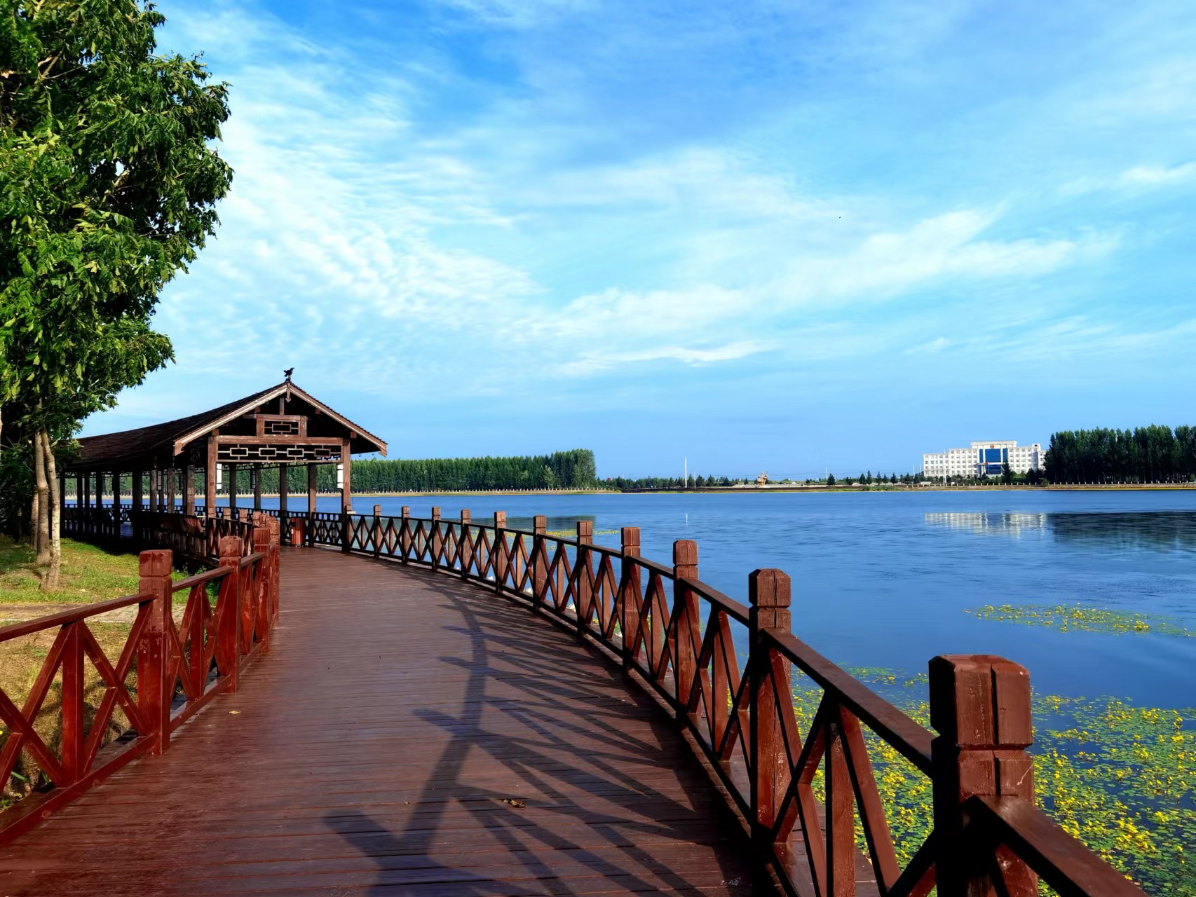 哈尔滨方正县美食推荐,黑龙江美食好看视频