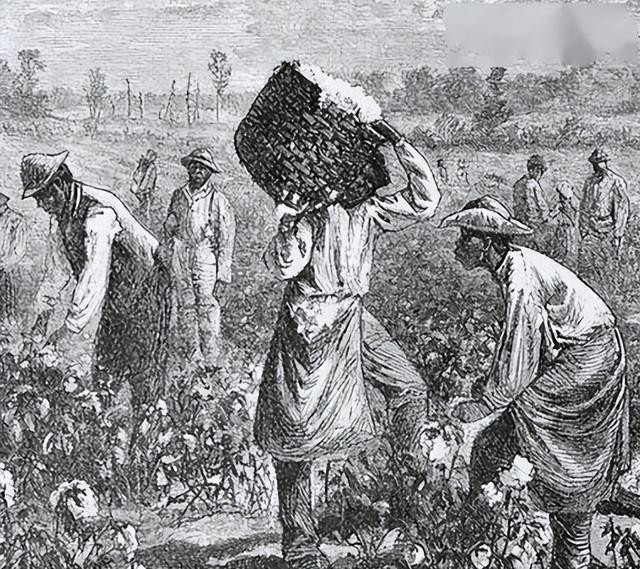 17世纪荷兰殖民情况,17世纪荷兰和英国