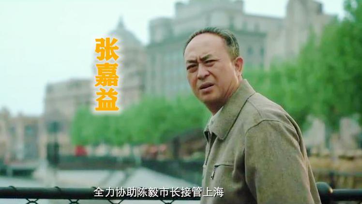 唐国强十大演技,电视剧破晓东方张嘉益演技