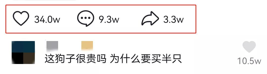 这样的阴间猫狗审美，早该翻车了